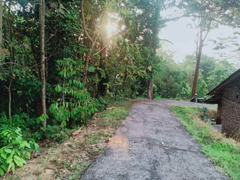 tanah matesih karanganyar