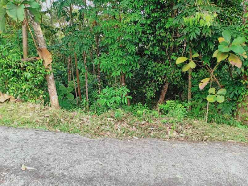 tanah matesih karanganyar