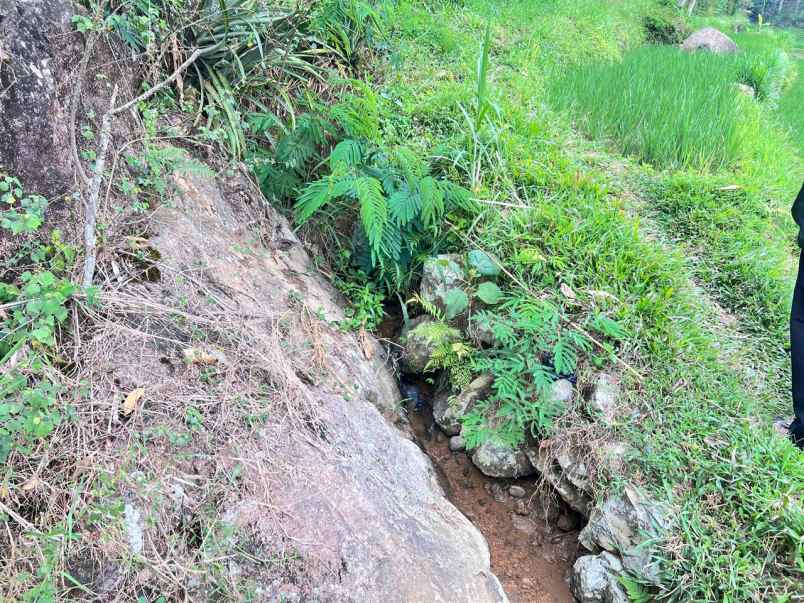 tanah murah 3000m 200rb m ngargoyoso solo