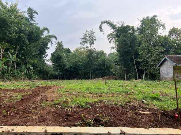 tanah murah 55juta timur bri mojogedang karanganyar