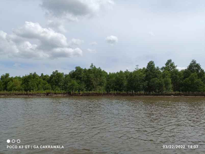 tanah padang cermin pesawaran