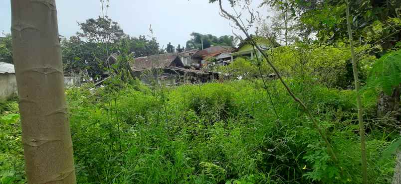 tanah pasir impun atas