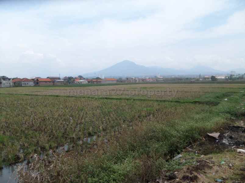 tanah rancaekek