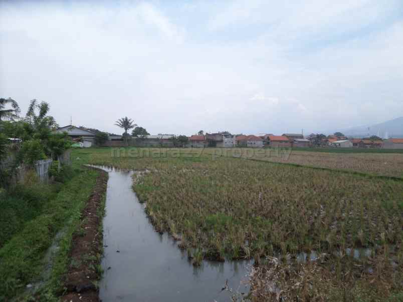 tanah rancaekek