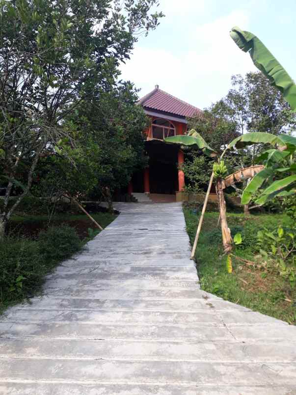 tanah rumah kebun