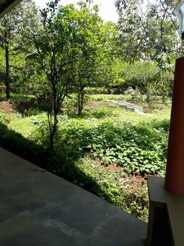 tanah rumah kebun