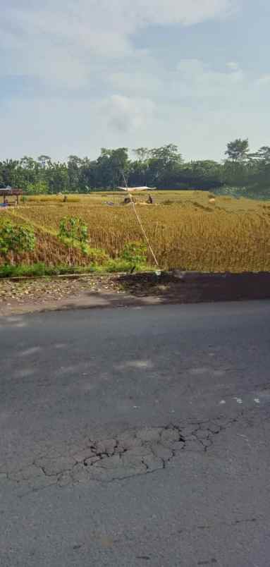 tanah sawah produktiv pinggir jln utama