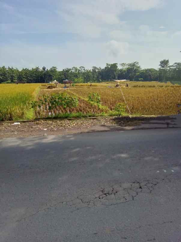 tanah sawah produktiv pinggir jln utama