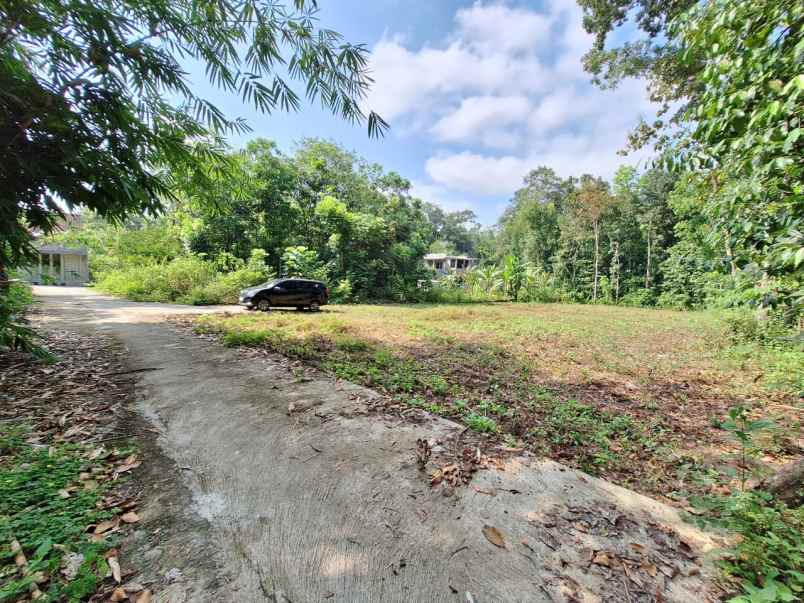 tanah shmp suasana asri area penduduk pendatang