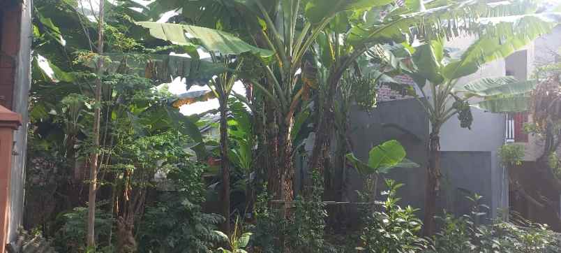 tanah stonen gajahmungkur semarang