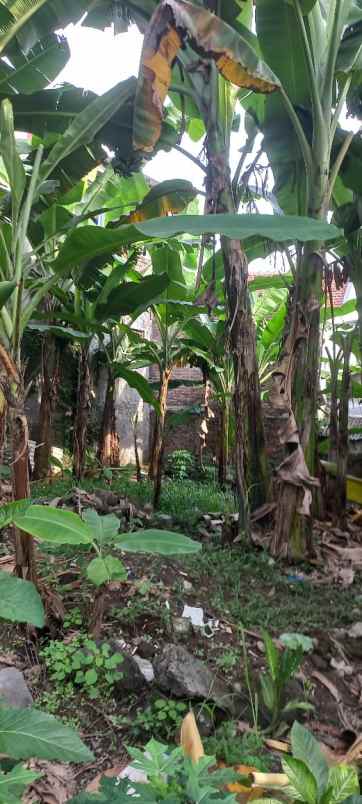 tanah stonen gajahmungkur semarang