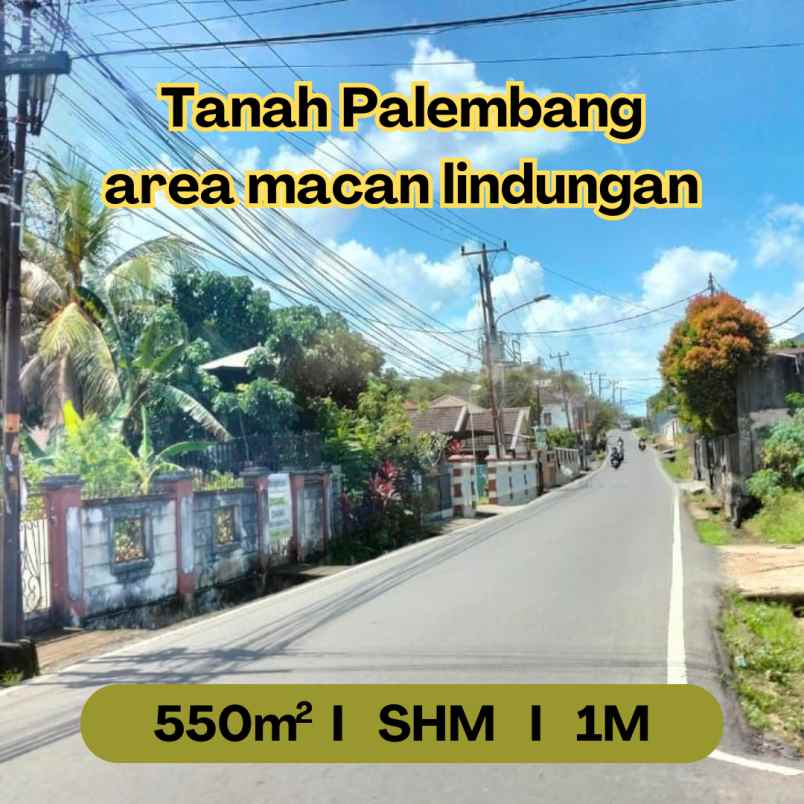 tanah strategis pinggir jalan macan lindungan