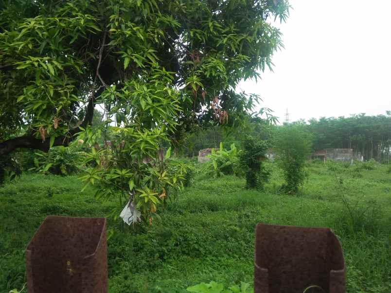 tanah tepi jalan dekat rumah