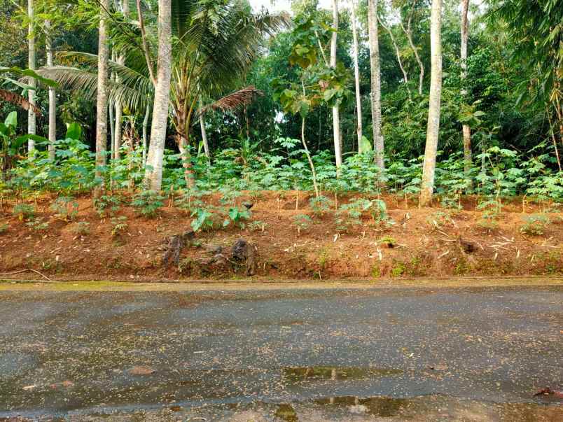 tanah timur pasar batujamus