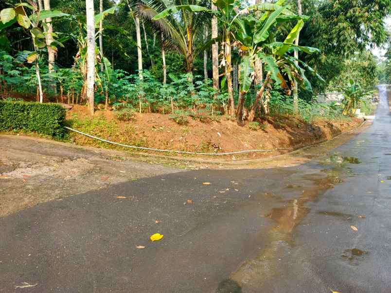 tanah timur pasar batujamus