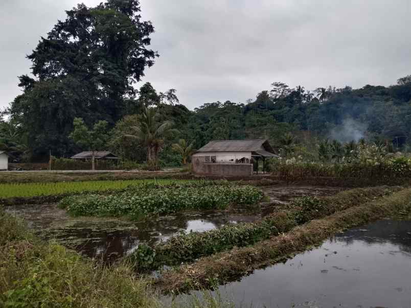 tanah untuk kolam pemancingan subang