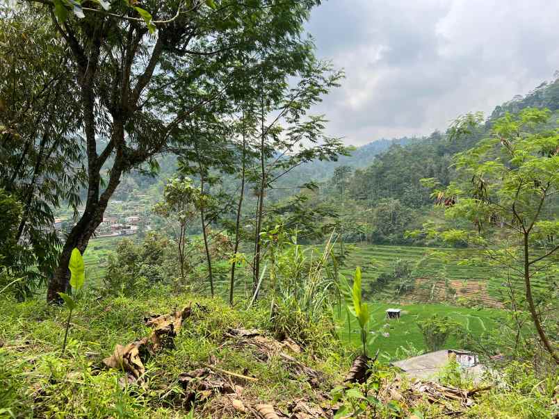 tanah view istimewah 500m 125jt ngargoyoso