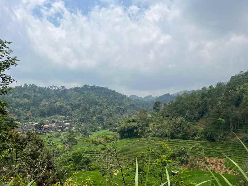 tanah view istimewah 500m 125jt ngargoyoso