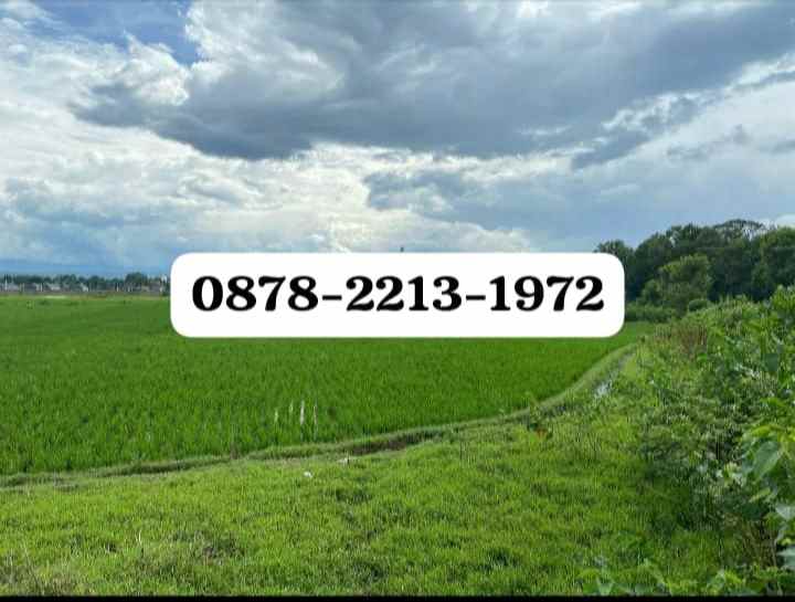 tanah zona kuning perumahan bagus untuk cluster