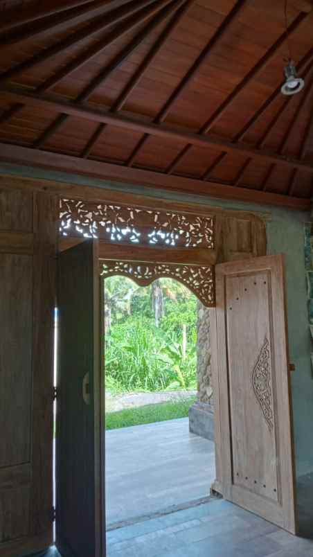 villa eksotik dekat bali zoo di gianyar