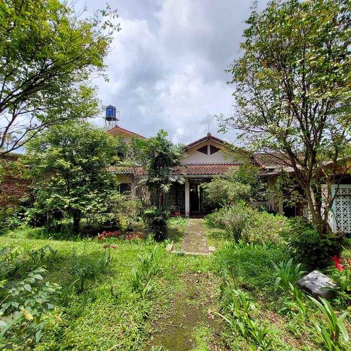 apartemen cihampelas