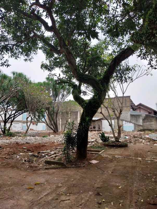 cuma 40 meter dari kampus ui depok