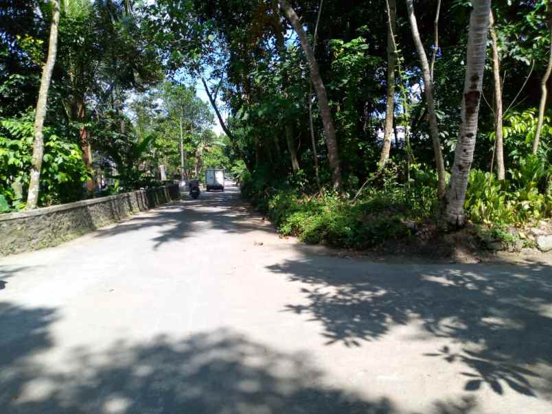 dijuak tanah pekarangan derah utara pasar kemalang