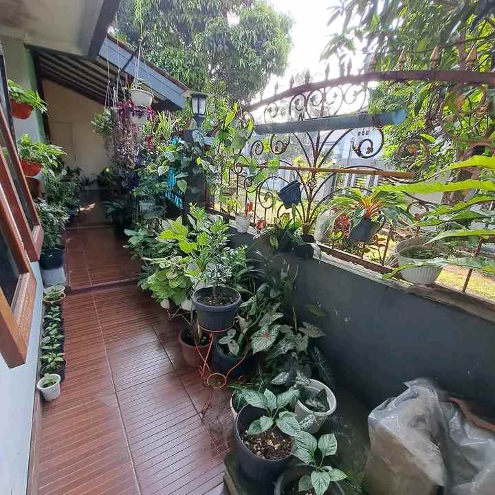 dijual cepat rumah mewah lokasi baranangsiang bogor
