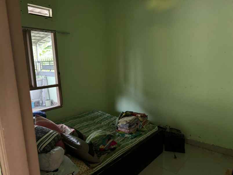 dijual cepat tanah bonus rumah murah di ciampea bogor