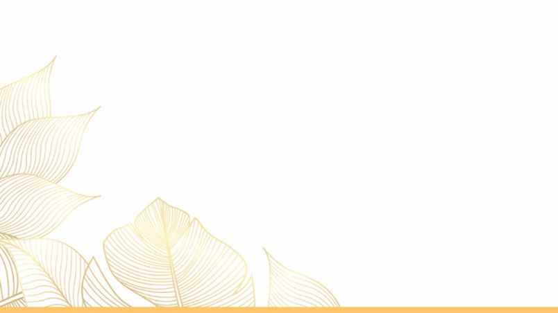 dijual kost jl cilubang raya no 1