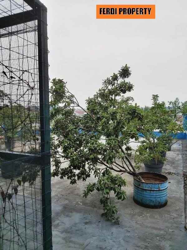 dijual ruko gudang kantor jl raya jakarta bogor cibinong