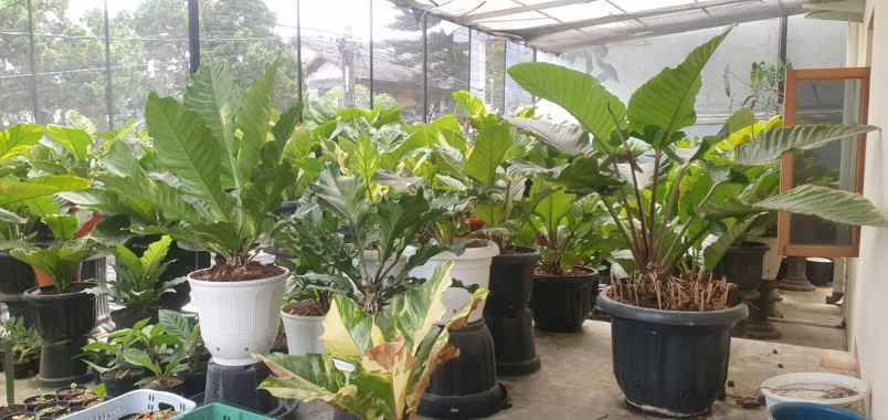 dijual ruko gudang kantor sayap pasteur bandung