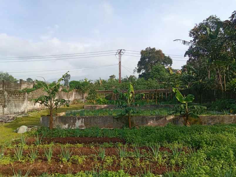 dijual rumah jl raya cianjur sukabumi jawa barat