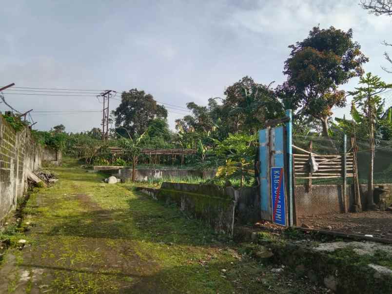 dijual rumah jl raya cianjur sukabumi jawa barat