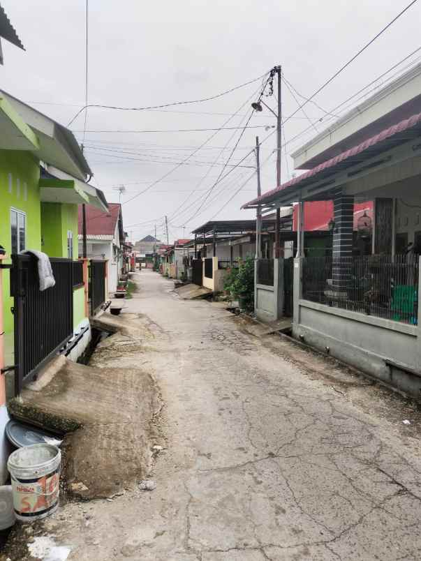 dijual rumah jln melur belakang robinson panam