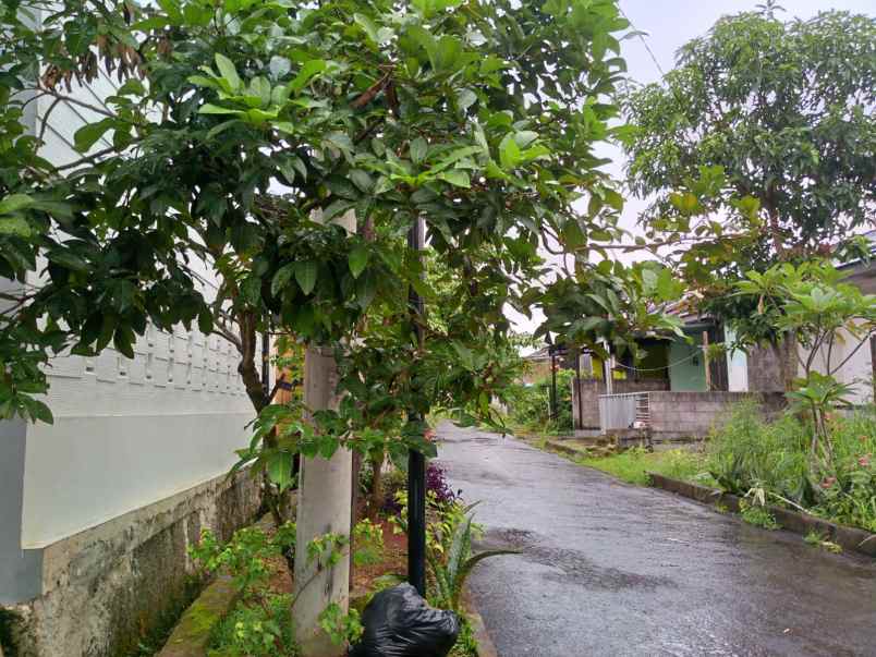 dijual rumah kemang bogor