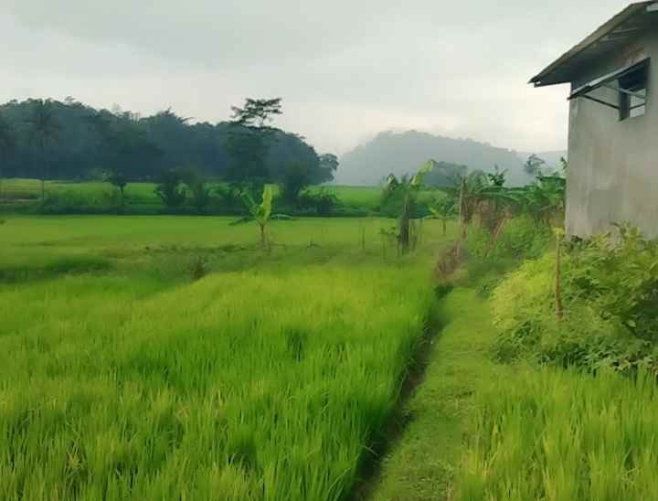 dijual rumah siap huni pinggir jalan view bagus