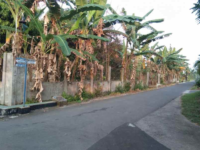 dijual shm pekarangan cocok untuk hunian kavlingan