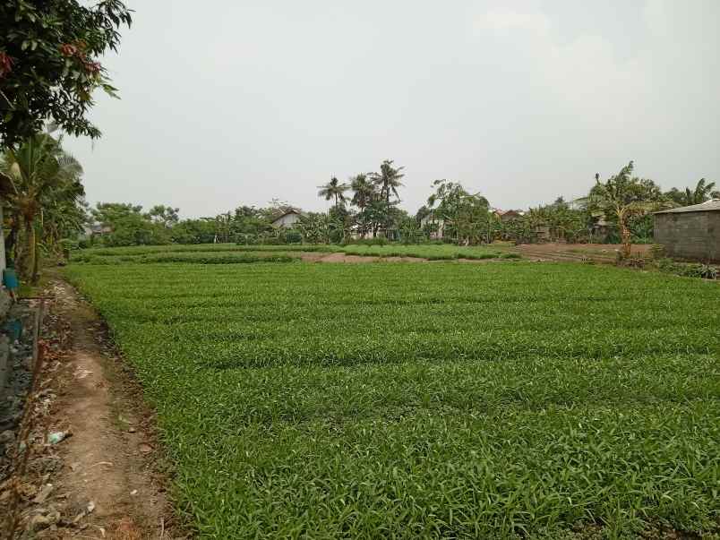 dijual t nah darat di kedung pengawas babelan bekasi