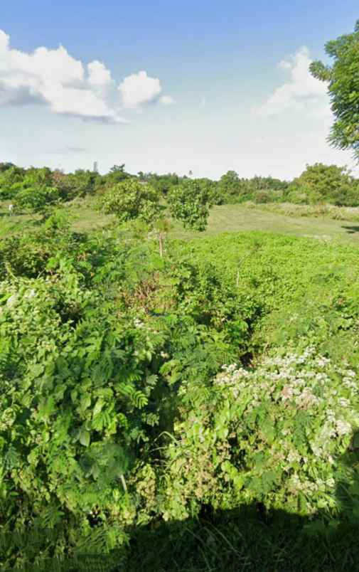 dijual tanah 1 1 hektar jl pantai siyut gianyar bali