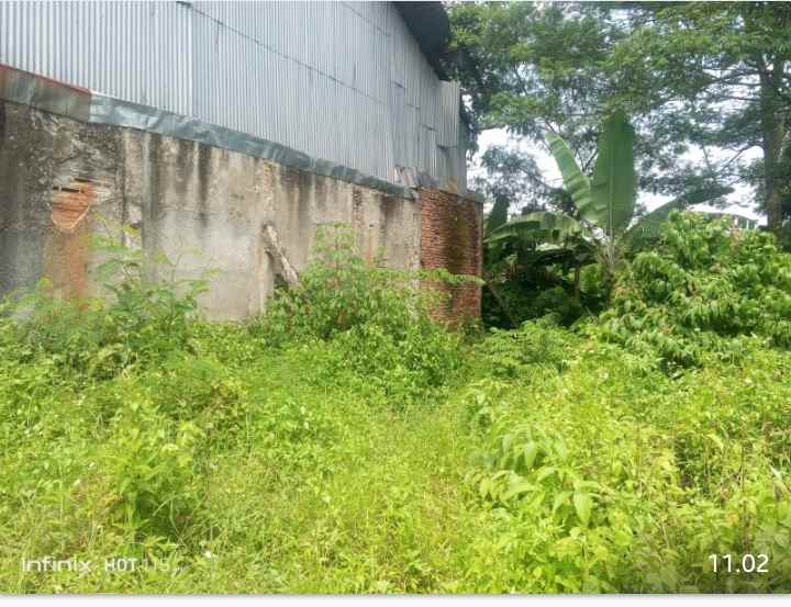 dijual tanah 1 8 ha di pinggir jalan raya cariu bogor