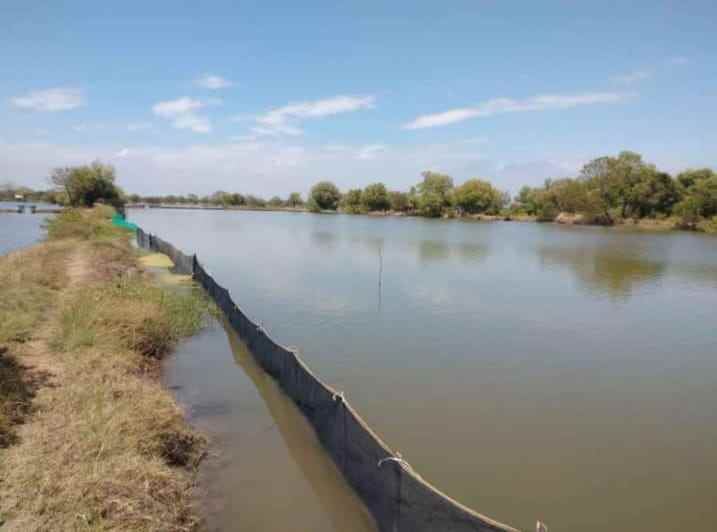 dijual tanah bangsri