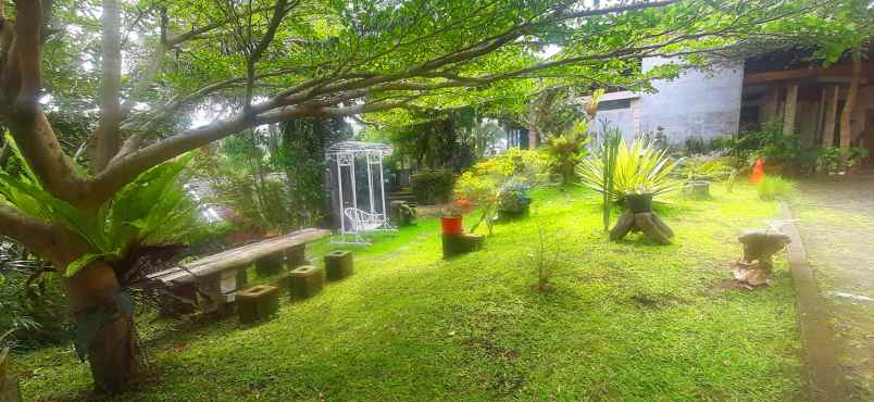 dijual tanah bukit pakar timur