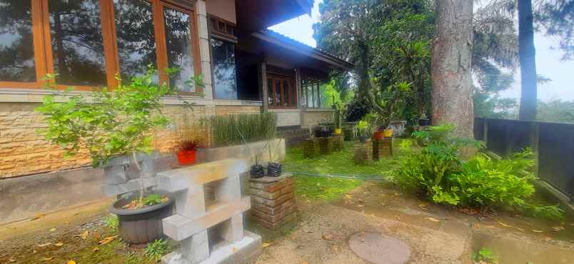 dijual tanah bukit pakar timur