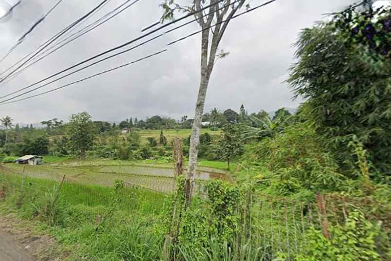 dijual tanah desa kawungluwuk sukaresmi