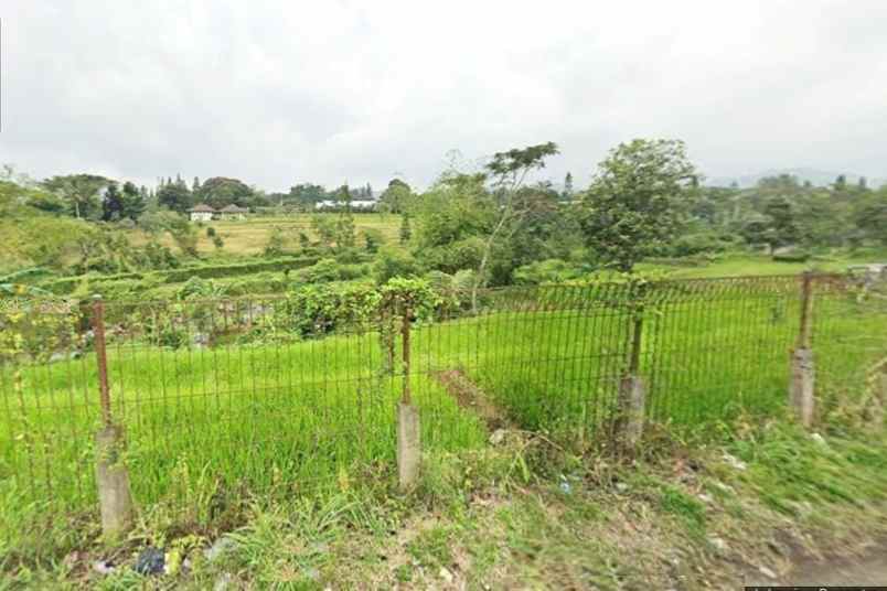 dijual tanah desa kawungluwuk sukaresmi