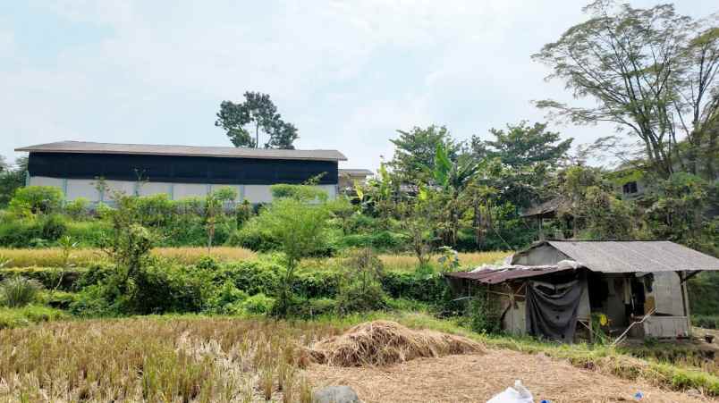 dijual tanah desa kawungluwuk sukaresmi