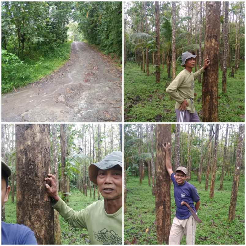 dijual tanah di desa buniwangi surade sukabumi