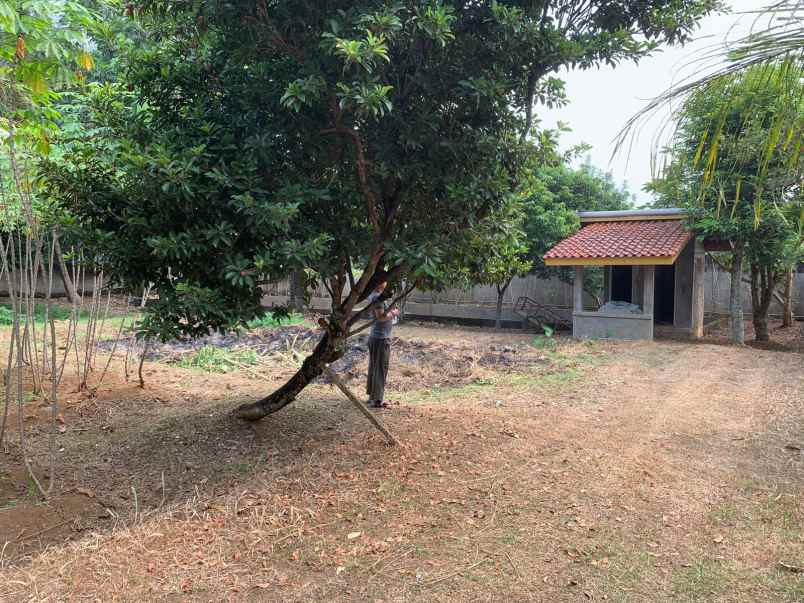 dijual tanah dijual tanah di cimanggu 2