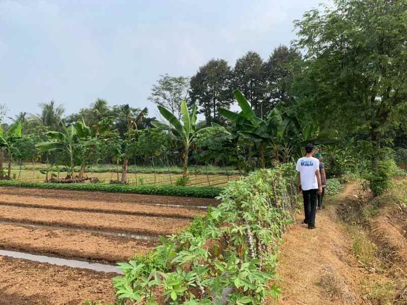 dijual tanah dijual tanah di cimanggu 2